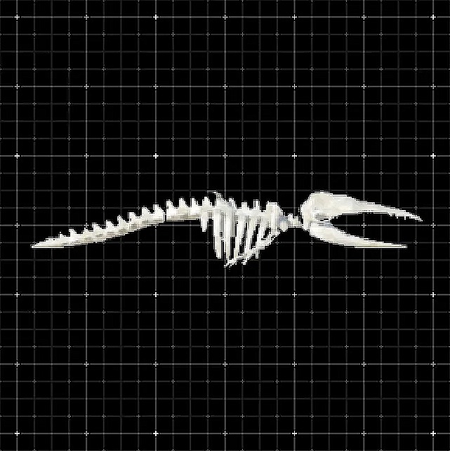 Mini great skeleton